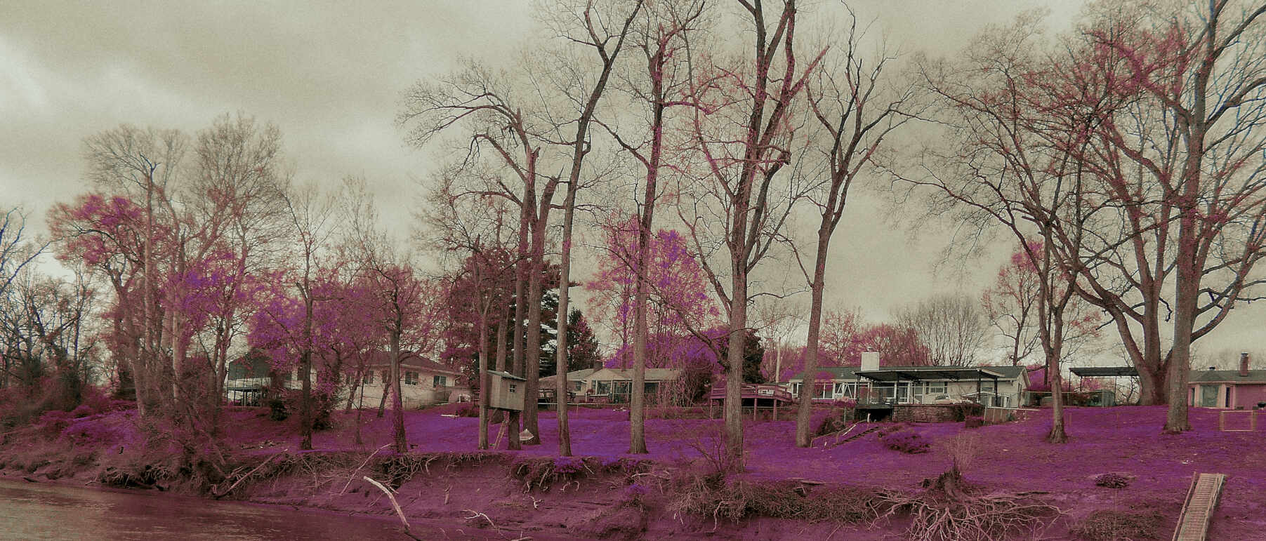 Lomochrome purple photograph