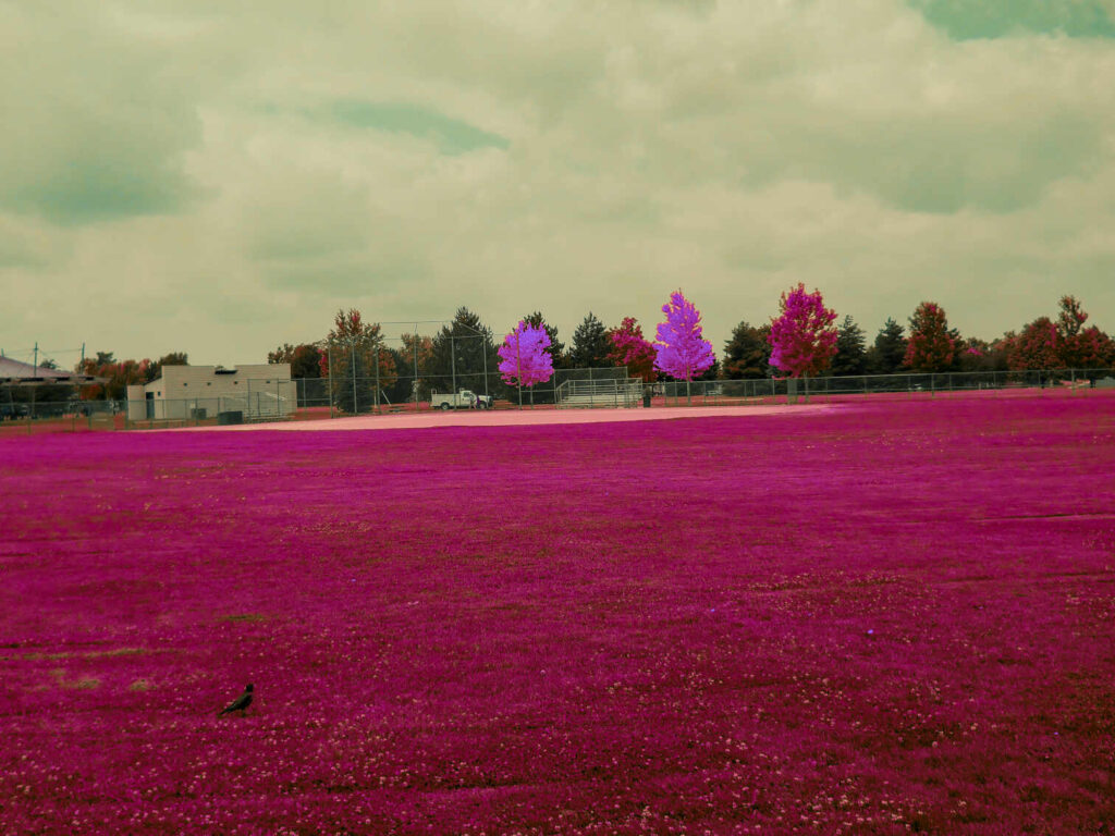 aerochrome photo